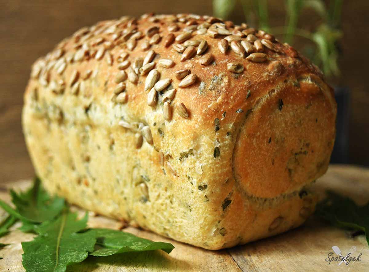 brood bakken paardenbloem gezond gist busbrood zonnebloempitten