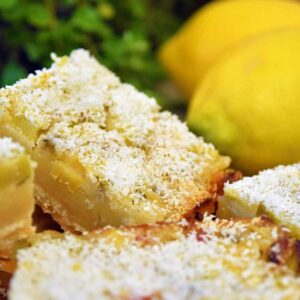 lemon bars kokos rabarber curd bakken zoet zuur rasp moestuin