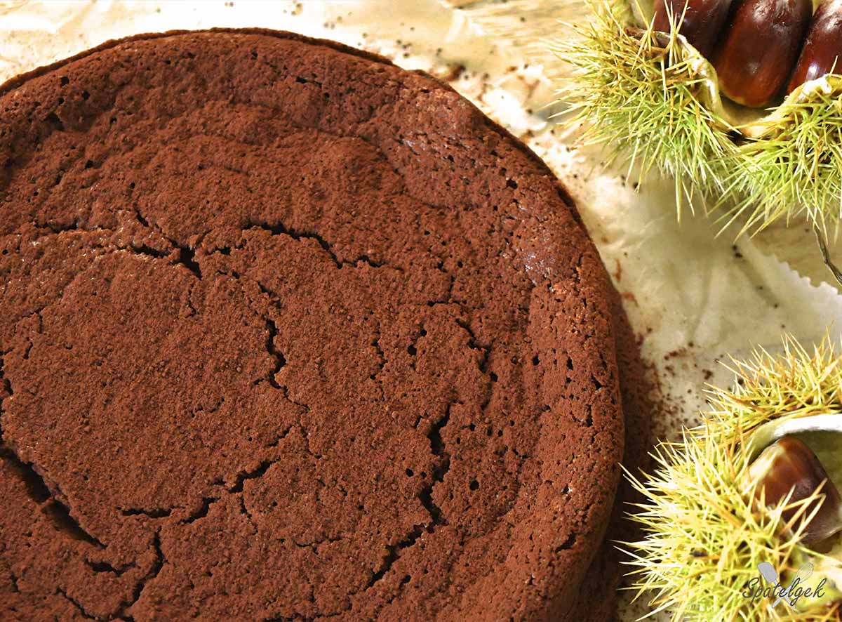 kastanje chocolade taart cacao kaneel gebak herfst